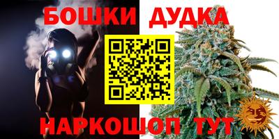 сатива Новодвинск