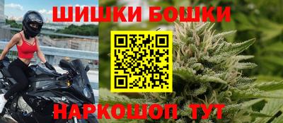 сатива Новодвинск
