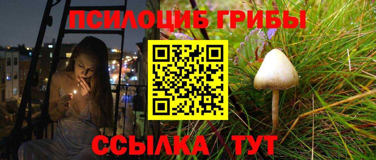 Псилоцибиновые грибы GOLDEN TEACHER  Псилоцибиновые грибы Psilocybe  Солнечногорск  Вход с VPN 