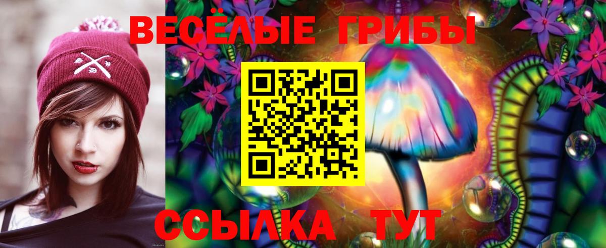 Псилоцибиновые грибы Psilocybe Солнечногорск